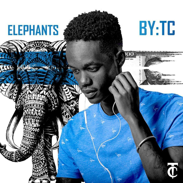 TC elephant