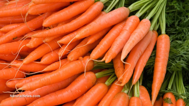 maka a habit of eating carrots, it somewhat helps in fighting ulcers