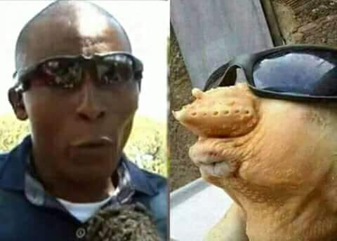 eyewitness challenge. photo credit: twitter