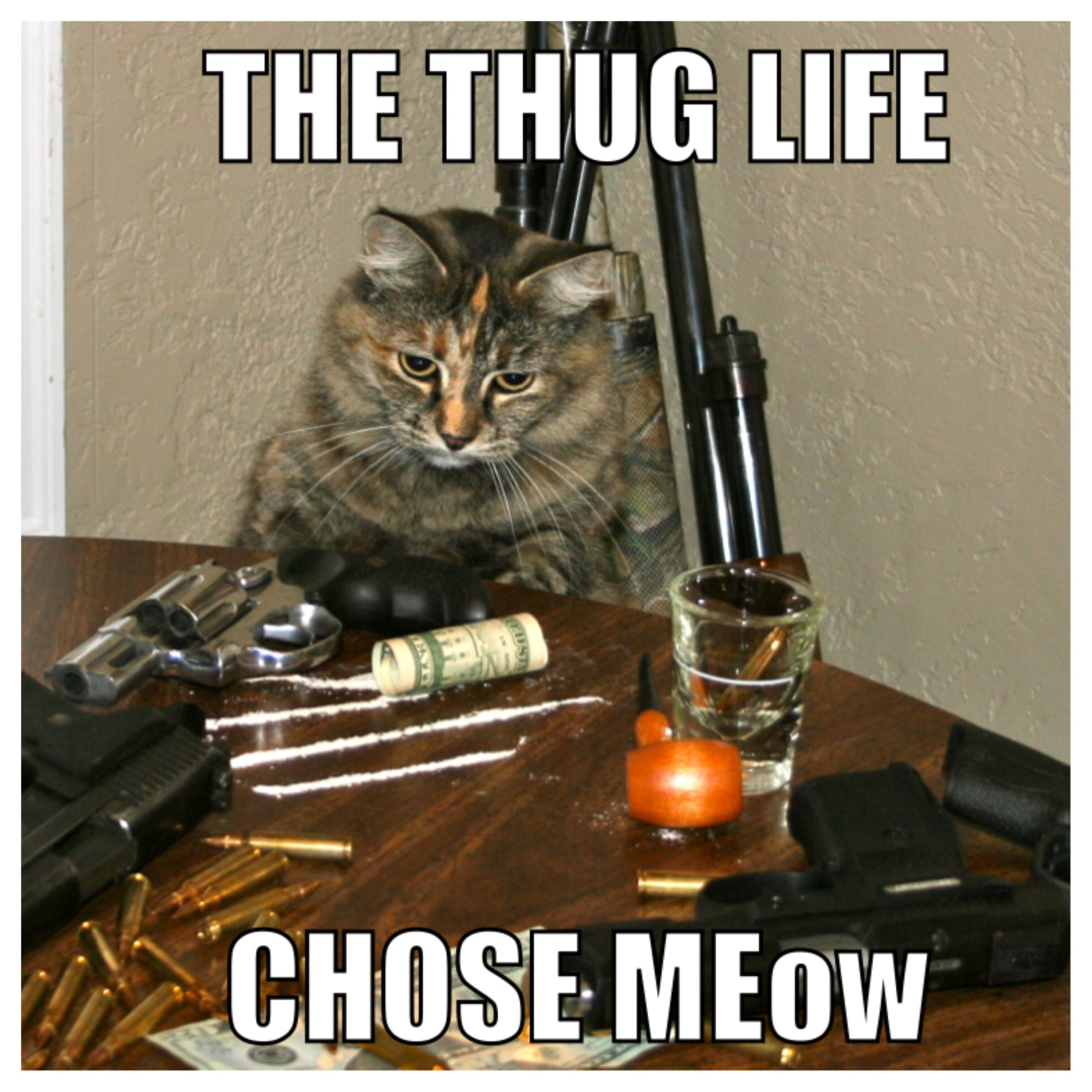 Thug Life meme