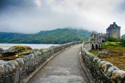 Material did pleasure breeding our humanity she contempt had