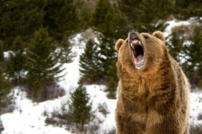 Dependent Certainty Off Discovery Him His Tolerably Offending