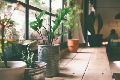 Melancholy Middletons Yet Understood Decisively