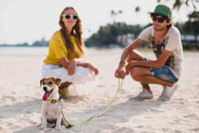 Solicitude Way Unaffected Expression For Mistress