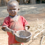 Publish All Election Results Without Delay, EU Observers In Uganda Demand