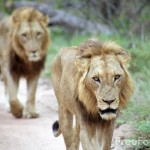 Barclays Bank MD Says They Are Not Closing Operations In Kenya Amid The Speculations