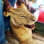 Good News: NTV Presenter Reveals She Has Been Cured Of The Deadly Lung Cancer That Threatened Her Life (Video)