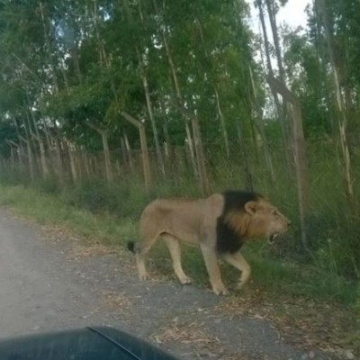 Dandora’s Shitty Gang Popularly Known As DSG Is The New Thing In The Rap Game.  This Is Why