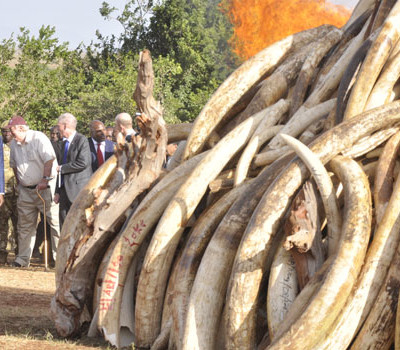 Photos of Rescue Activities At the Collapsed Buildings In Huruma