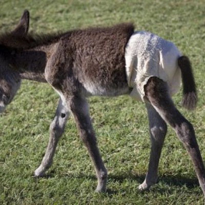 Kelele Takatifu’s Bamba Mbaya Is On Fleek