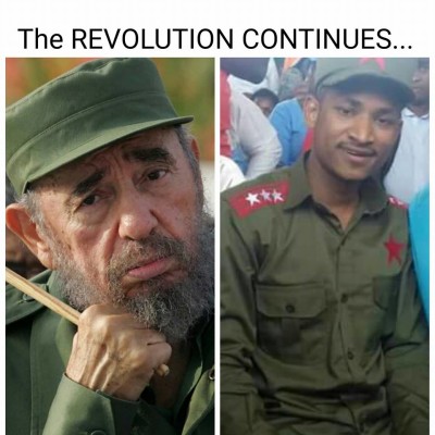 Cats Lovers BEWARE:A Cat in Nairobi Has Been Diagnosed with AIDS Virus!