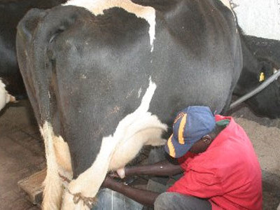 Cyrus Jirongo Daughter Cheats Death As His son-in-law Is shot Dead In a Manner Similar To Jacob Juma’s Assassination!