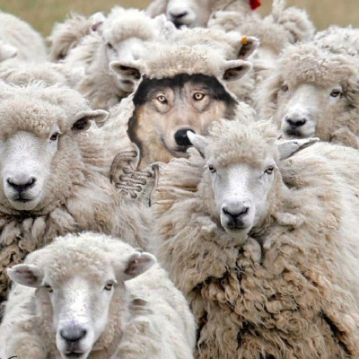 Irene Barasa mourns hubby Christopher Adagi who got shot in Garden Estate