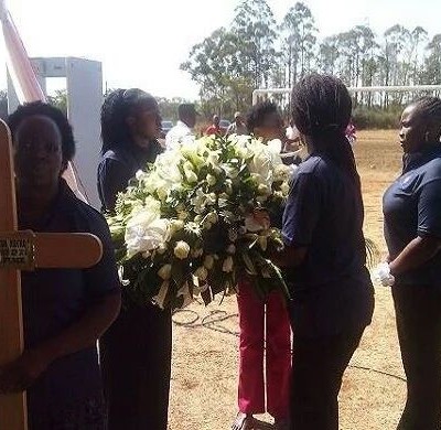 Photos:See Akothee’s pet dogs that are giving birth like her