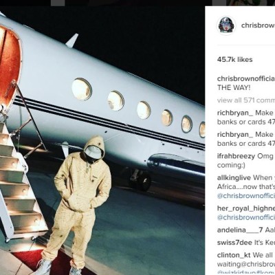 Photos:See Akothee’s pet dogs that are giving birth like her