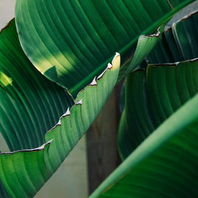 you won’t believe what Khaligraph Jones gave his fan hailing from Murang’a for being loyal