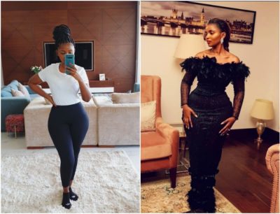 Breeder LW in the studio working with Motif Di Don