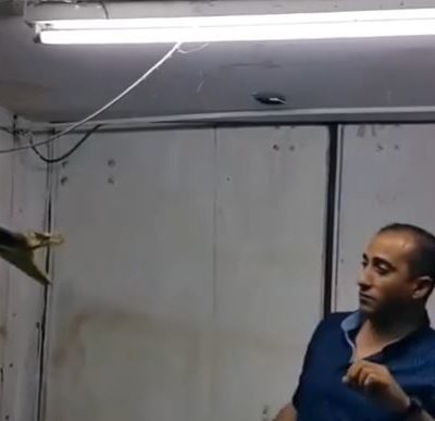 Reason why cnyakundi.com is down day 4