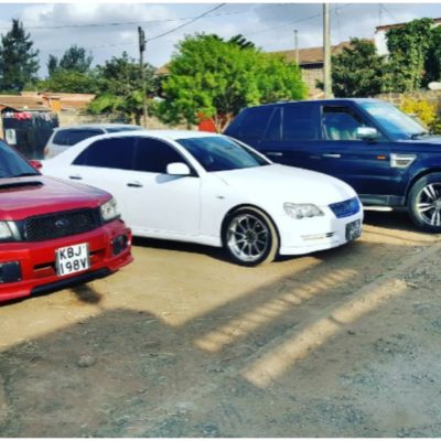 Insect Dudu releases a unifying Kenyan song