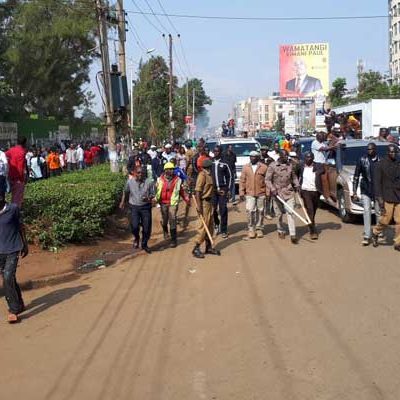 hunk for the day, Steph Kapela