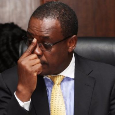 Sanchoka introduces her “twins” Tiny and Toya to the world