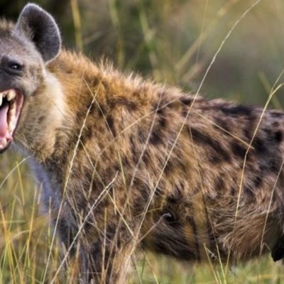 patia mchungaji nunu! pastor in jail for rape is visited by his 17 wives