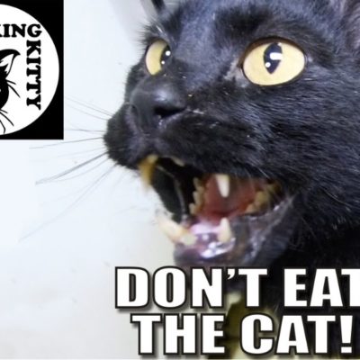 Diamond Platnumz embroiled in new love saga with BBA 2013 winner Dillish Mathews(photos)