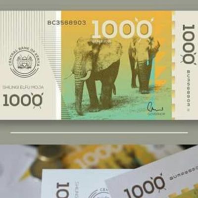 artiste profile: Johnny Skani