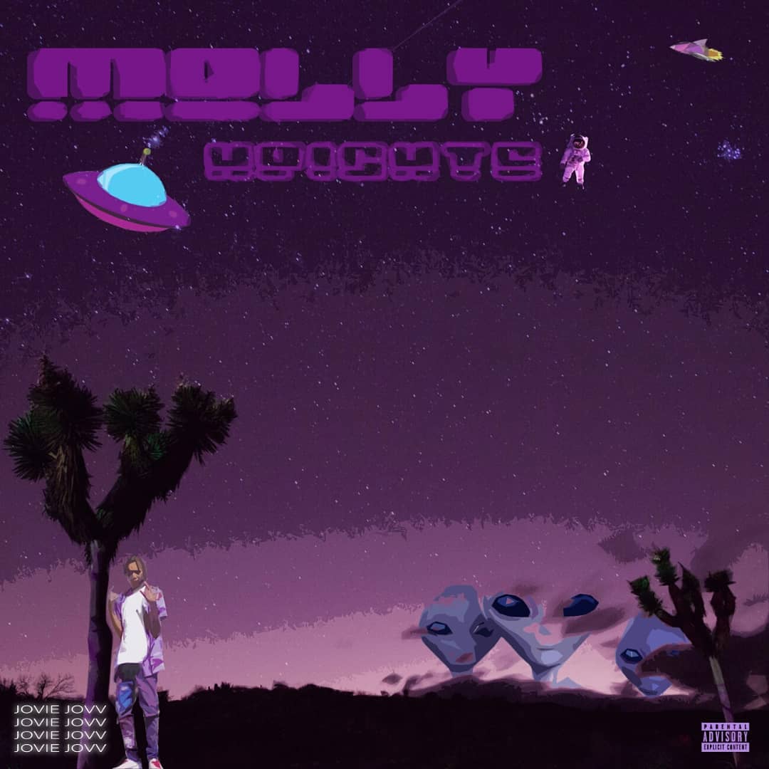 the official cover art for Jovie Jovv's debut album 'Molly Heights'. photo credit: Instagram/joviejovv