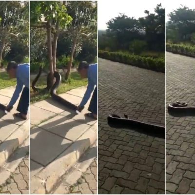 Sauti Sol scores yet another accolade as their song gets featured on Queen Sono