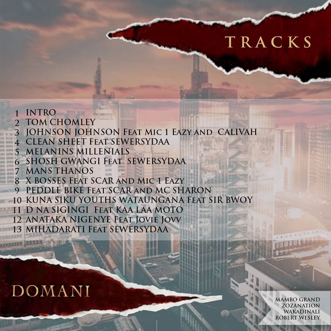 The official back album cover and tracklist for Domani Munga's debut project 'Haitaki Hasira'. Photo credit: Instagram/wakadinali