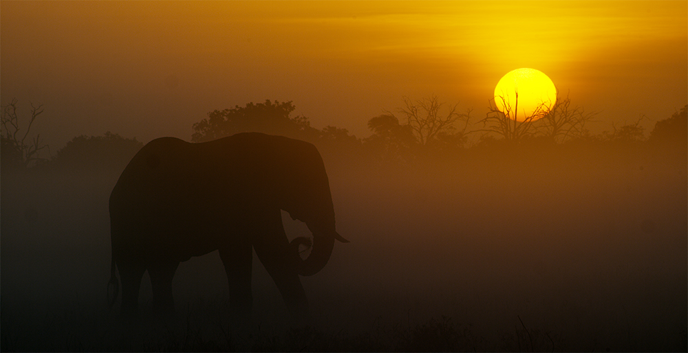 Dawn in Tsavo East National Park, The Elephant Queen ©Wild Inspiration Ltd 2019. Photo credit: Christina Engell Andersen (Yolanda Andersen)