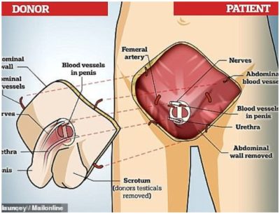 DJ Mo’s career at NTV comes to an end? 