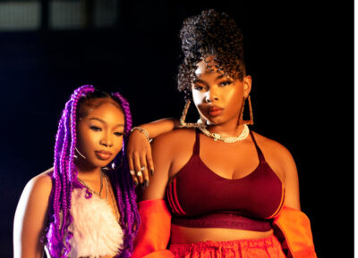 Should you sanitize, disinfect or clean your home?