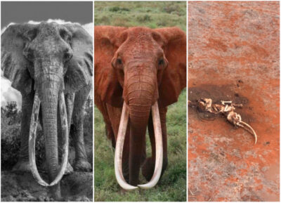 Former MP Kanini Kega buys mitumba shoes