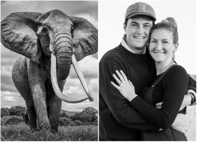 Photos: Africa’s largest female Tusker, Dida dies at Tsavo National Park