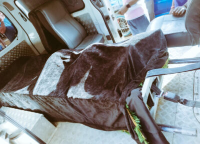 “Wacha kufinywa na kuzaa ovyo kama paka!” Mike Sonko advises Karen Nyamu