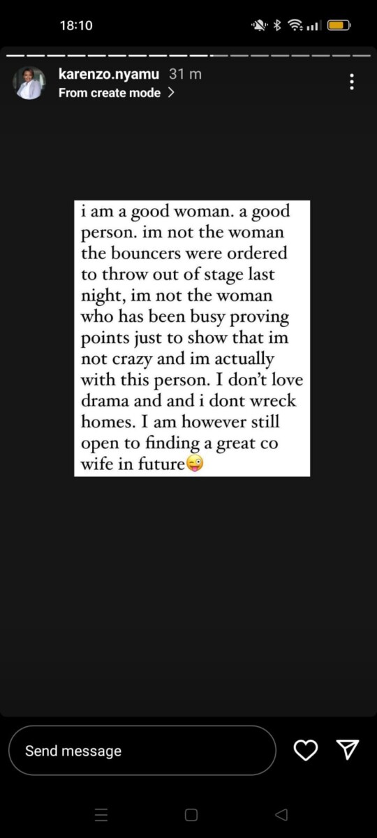 Karen Nyamu's break up note