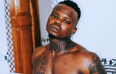 Parliament Speaker Ackson Tulia salutes Diamond for winning MTV EMA award