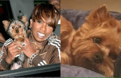 Actress Sandra Dacha stirs drama with marriage proposal to Obinna after steamy dance 