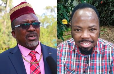 Harmonize explains why he hasn’t collaborated with Burna Boy again since ‘Kainame’